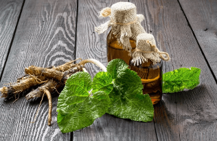A decoction of the root of arctium lappa