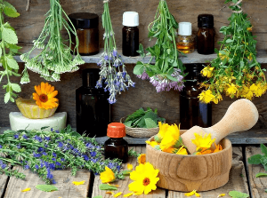 The herbs and tinctures for the treatment of prostatitis
